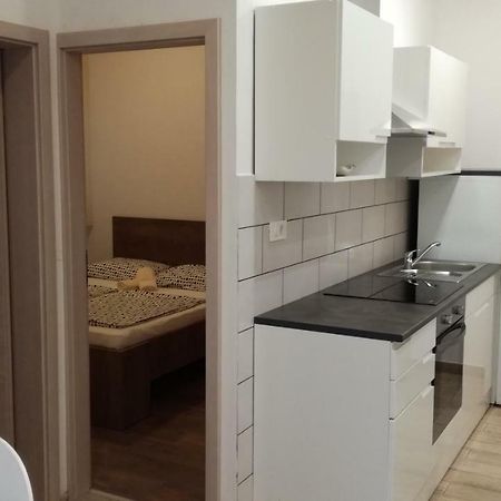 Appartma Katja Gabrovica pri Črnem Kalu エクステリア 写真